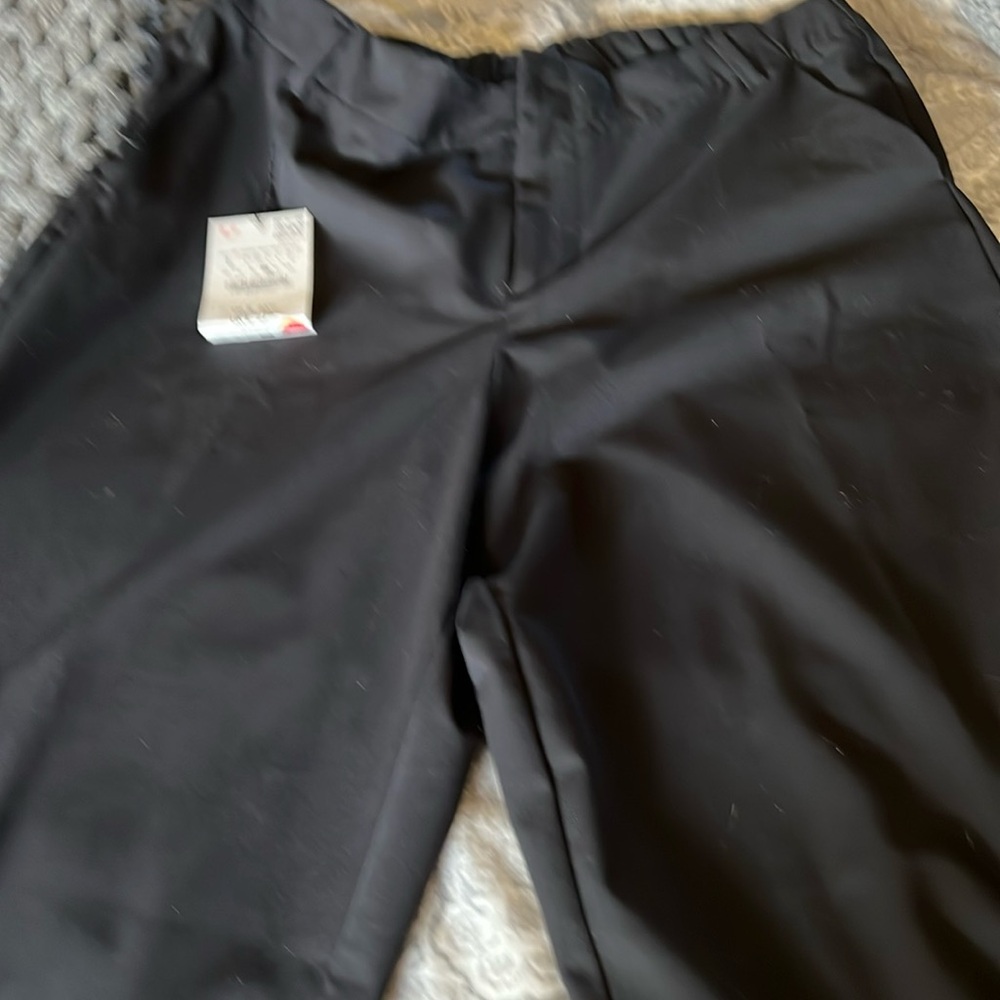 Basic black pant from Zara